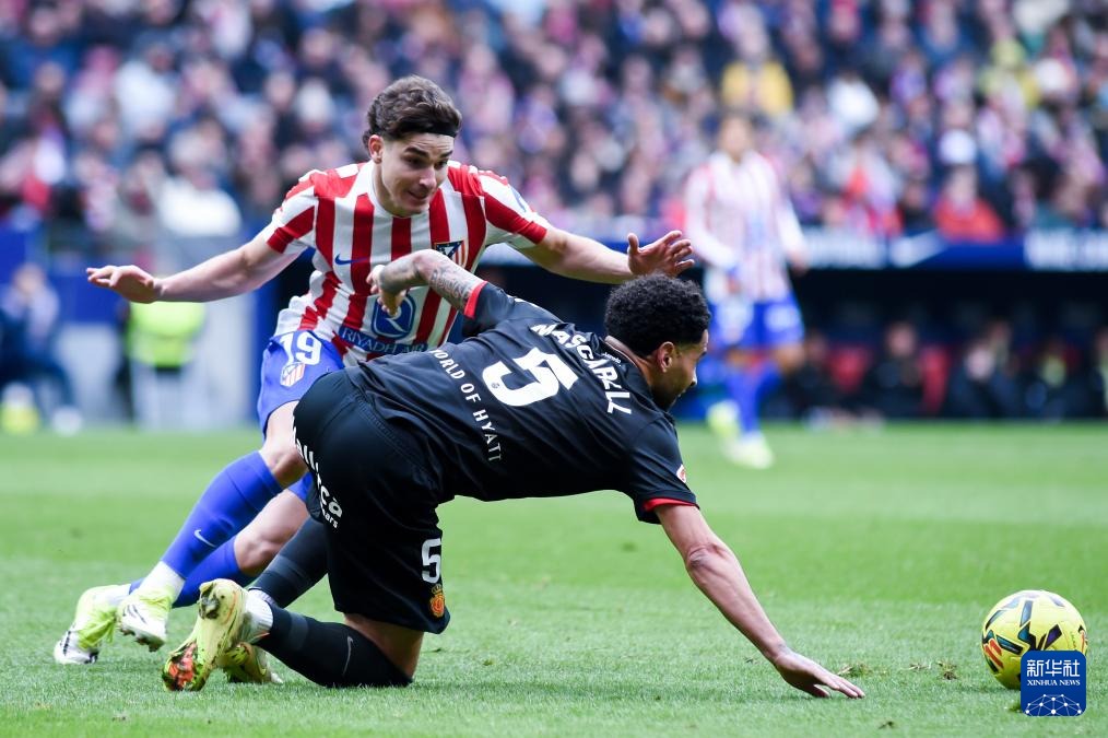 湖人勇士浓眉詹姆斯库里